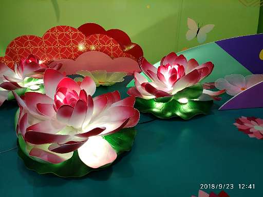 IMG_20180923_124156.jpg