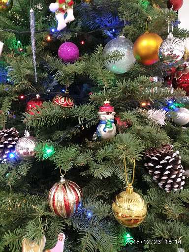 IMG_20181223_181415.jpg
