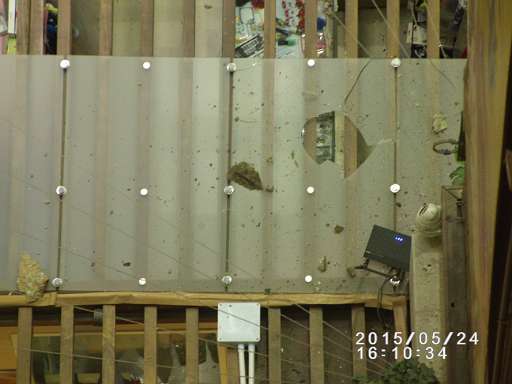 GEDC0146.JPG
