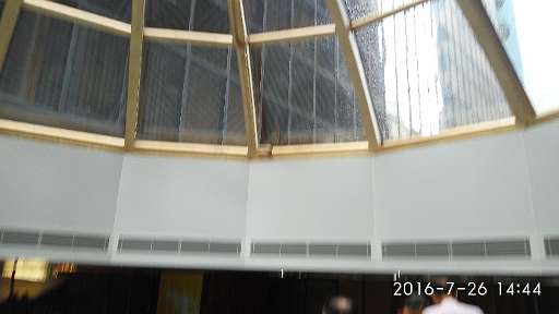 IMG_20160726_144446.jpg