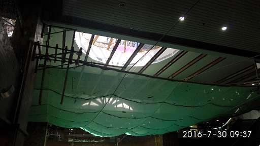 IMG_20160730_093749.jpg