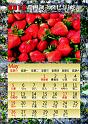 2013calendar-a4portrait1_out-5