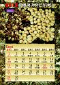 2013calendar-a4portrait1_out-9