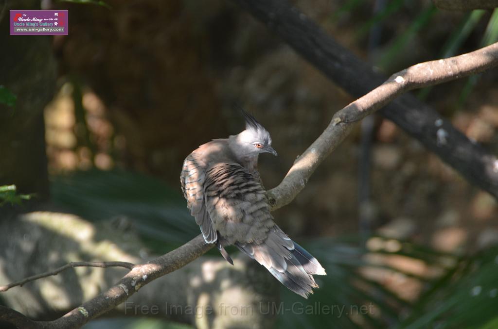 20150426jw-hk-park_DSC_0448.JPG
