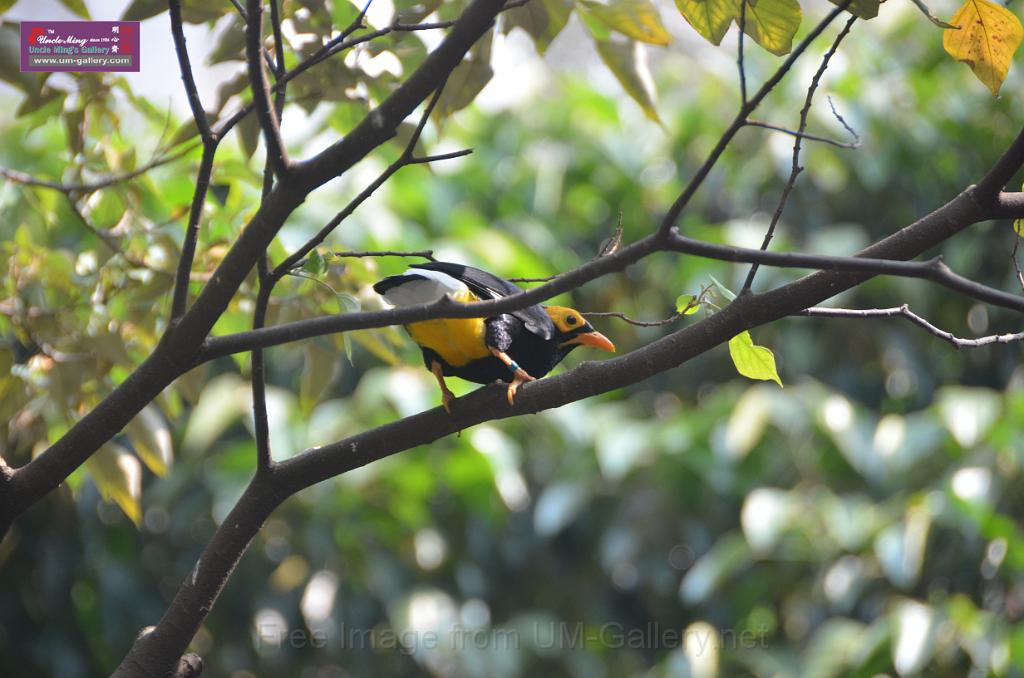 20150426jw-hk-park_DSC_0550.JPG