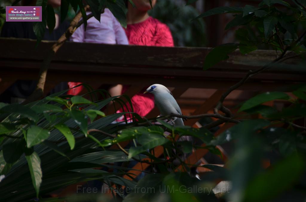 20150426jw-hk-park_DSC_0553.JPG