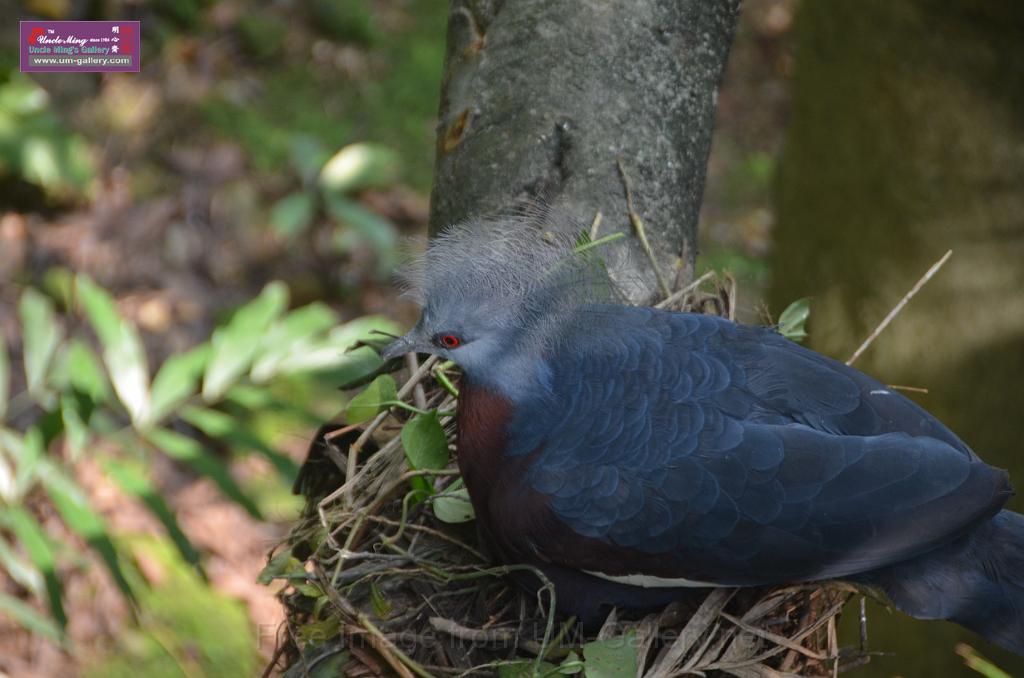 20150426jw-hk-park_DSC_0566.JPG