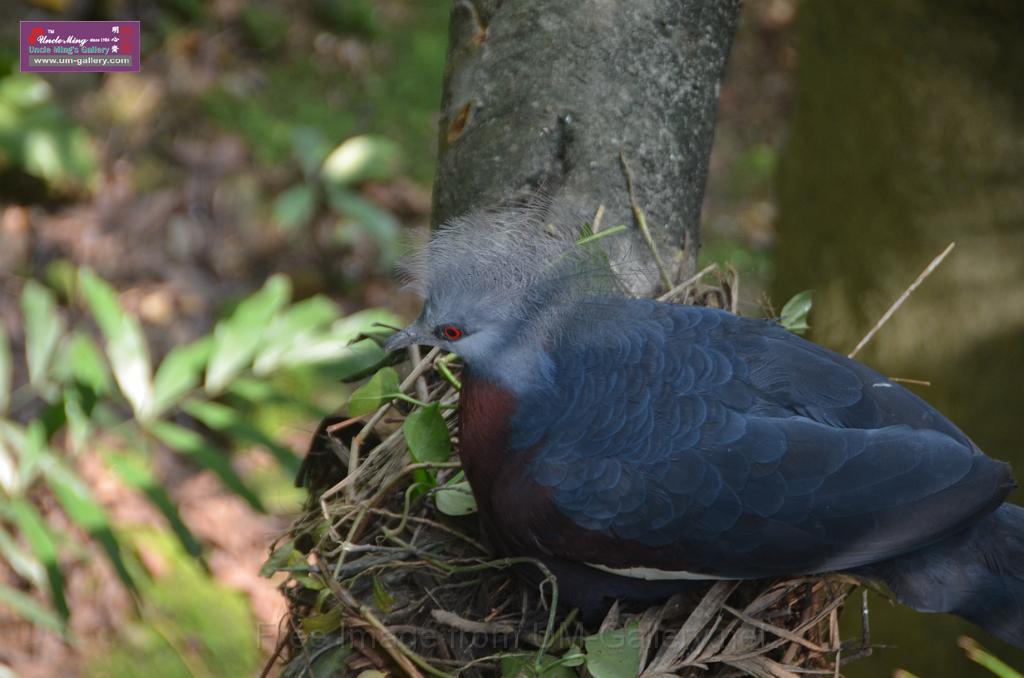 20150426jw-hk-park_DSC_0567.JPG