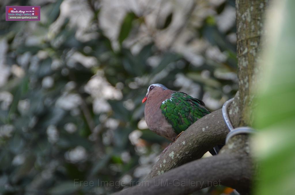 20150426jw-hk-park_DSC_0606.JPG