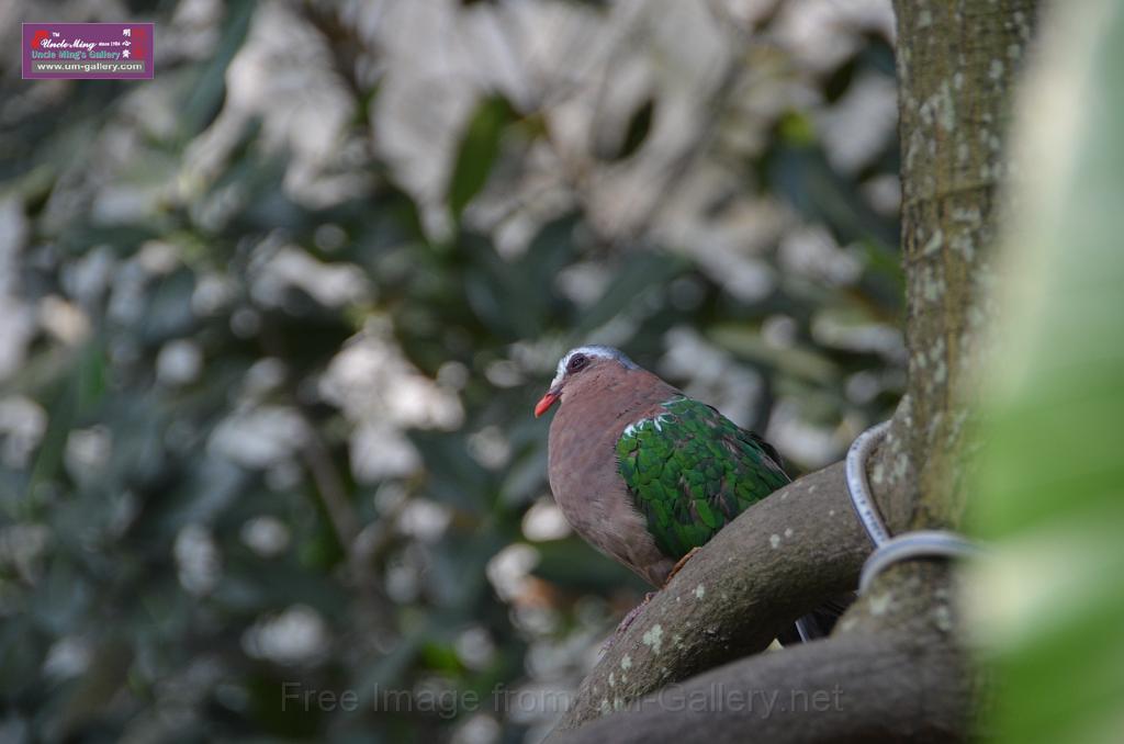 20150426jw-hk-park_DSC_0608.JPG