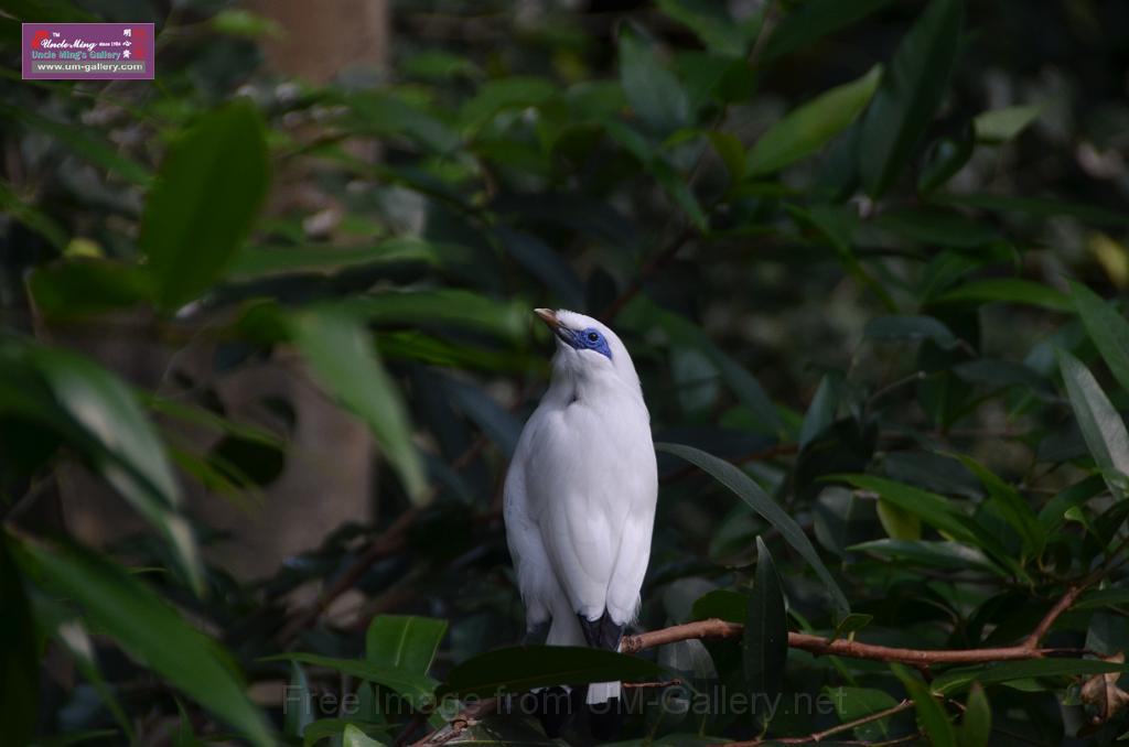 20150426jw-hk-park_DSC_0619.JPG