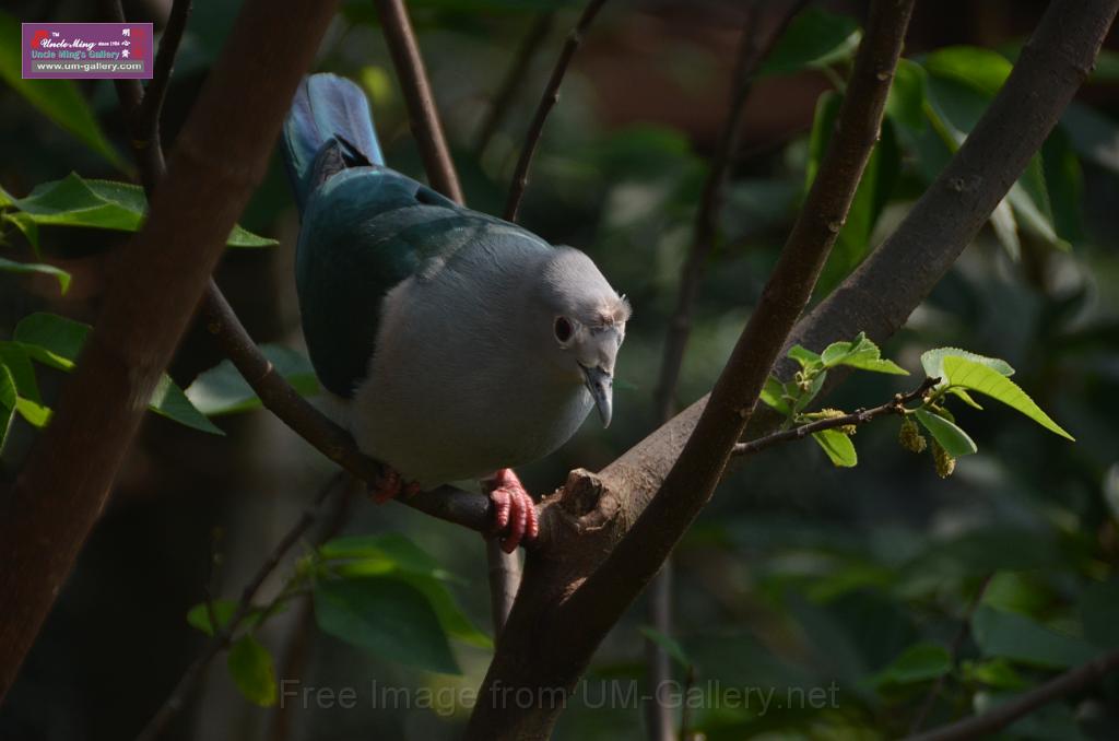 20150426jw-hk-park_DSC_0627.JPG