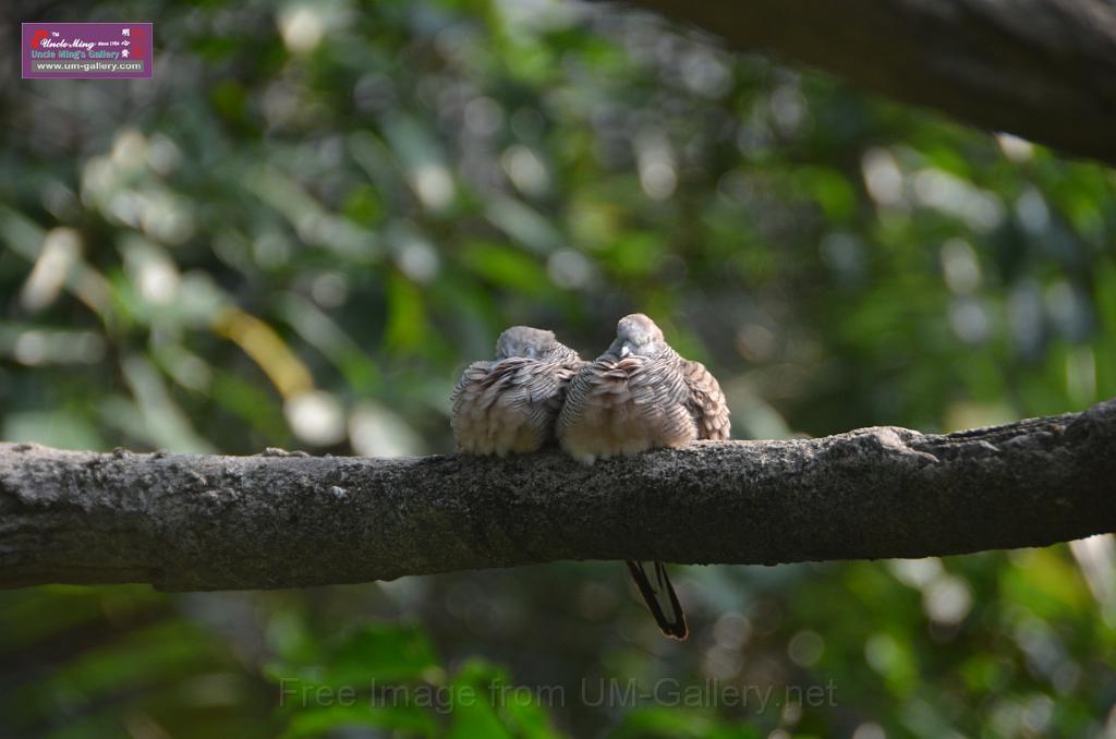 20150426jw-hk-park_DSC_0649.JPG