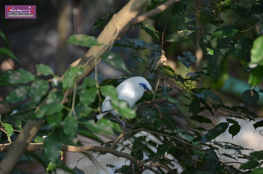 20150426jw-hk-park_DSC_0736.JPG