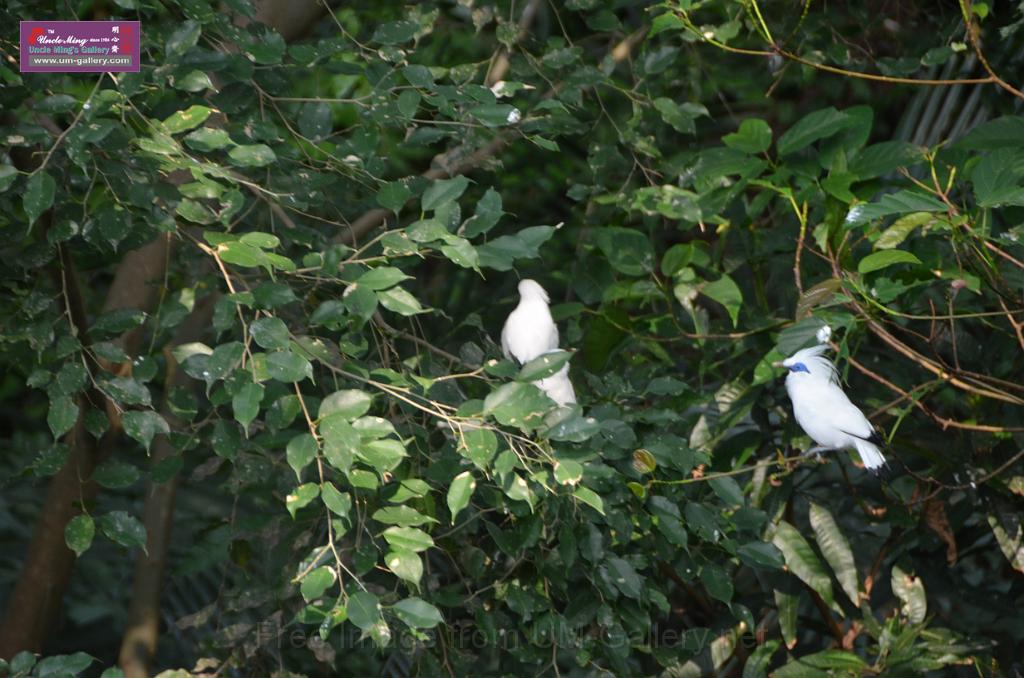 20150426jw-hk-park_DSC_0775.JPG