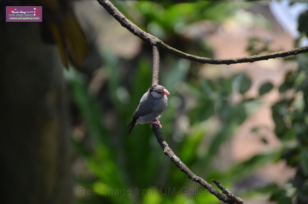20150426jw-hk-park_DSC_0783.JPG