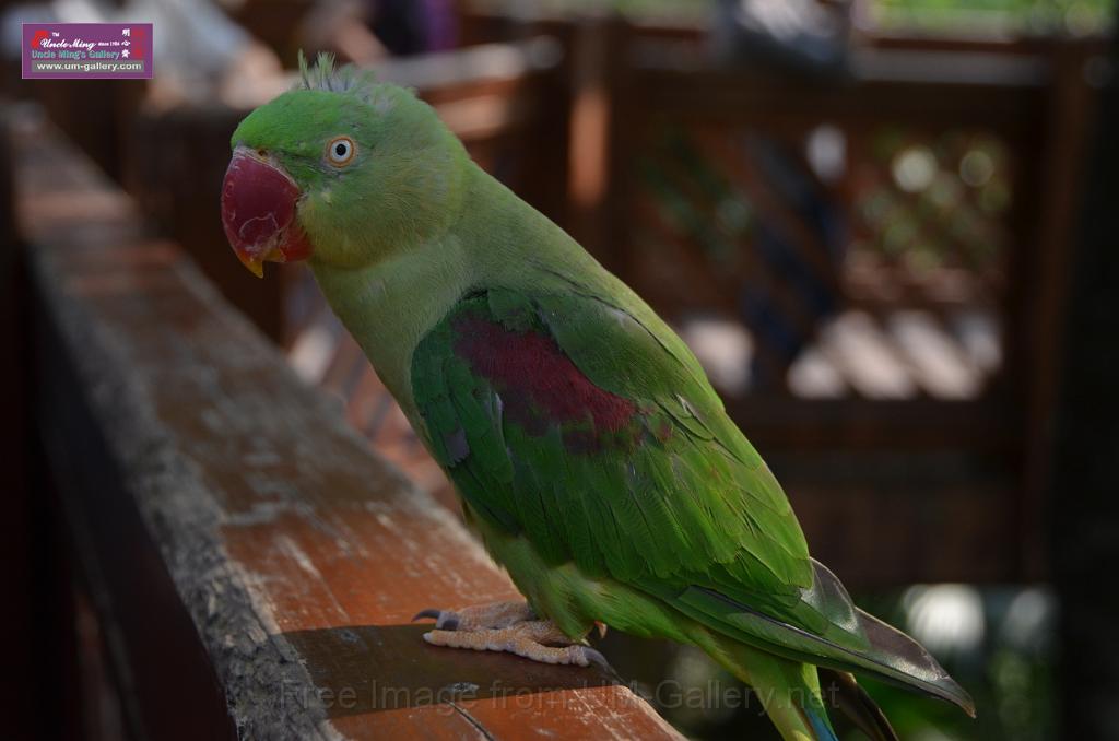 20150426jw-hk-park_DSC_0874.JPG