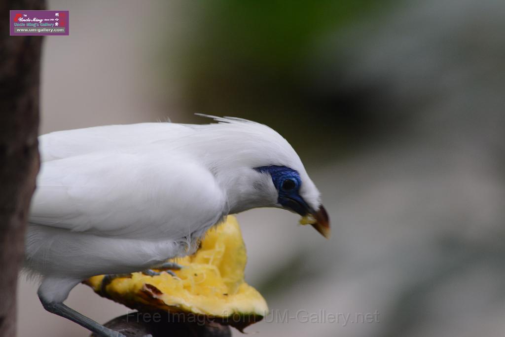 20150503sm_hk-park_DSC_2275.JPG