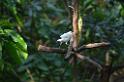 20150426jw-hk-park_DSC_0959