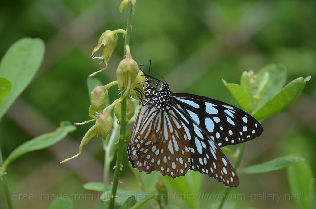 DSC_4204.JPG