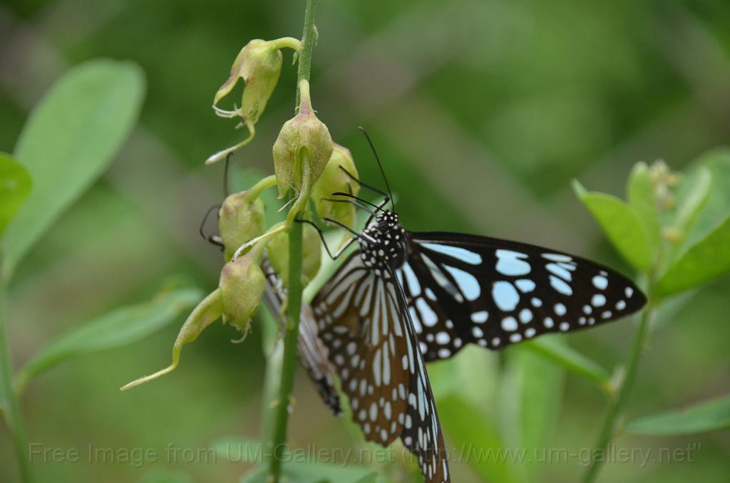 DSC_4205.JPG