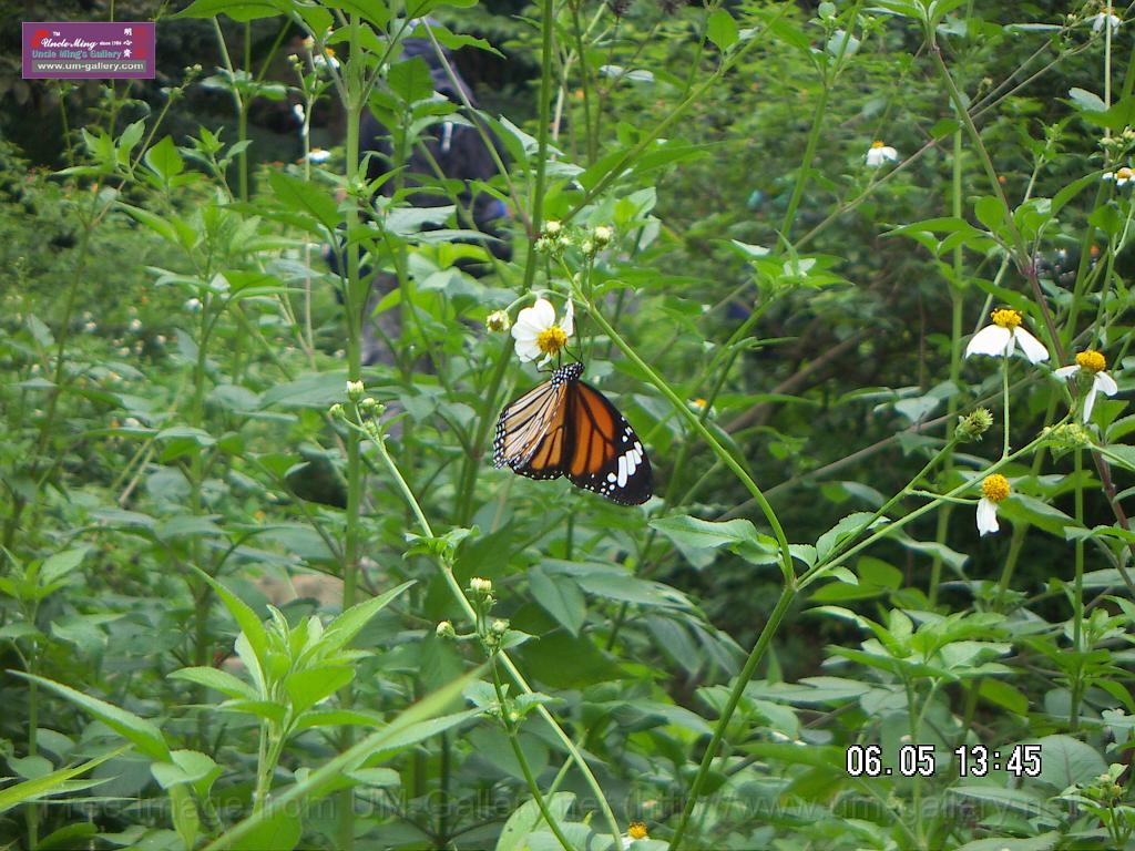 070506jw__PICT5201.JPG