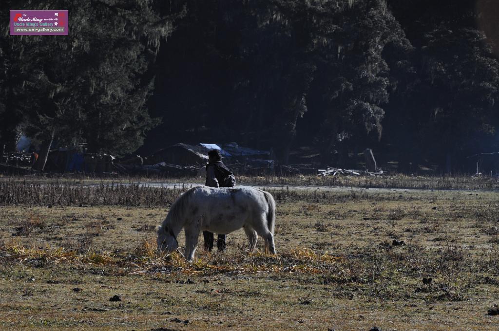 20121003sichuan_DSC_0406.JPG