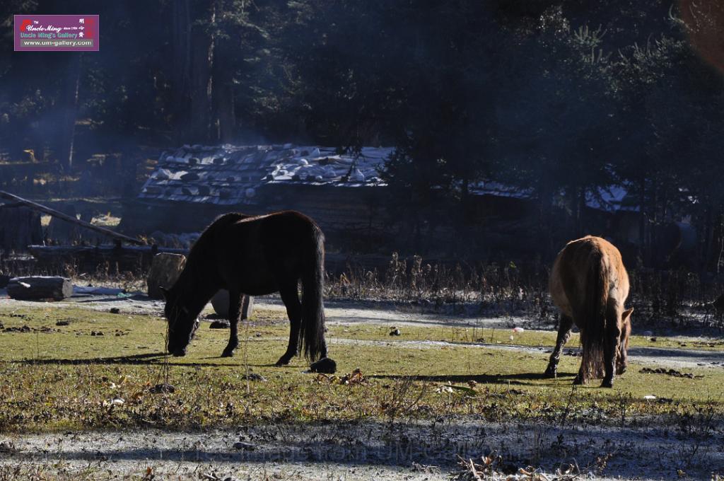20121003sichuan_DSC_0432.JPG