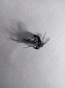 IMG_20140722_092649