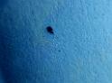 IMG_20141030_122259