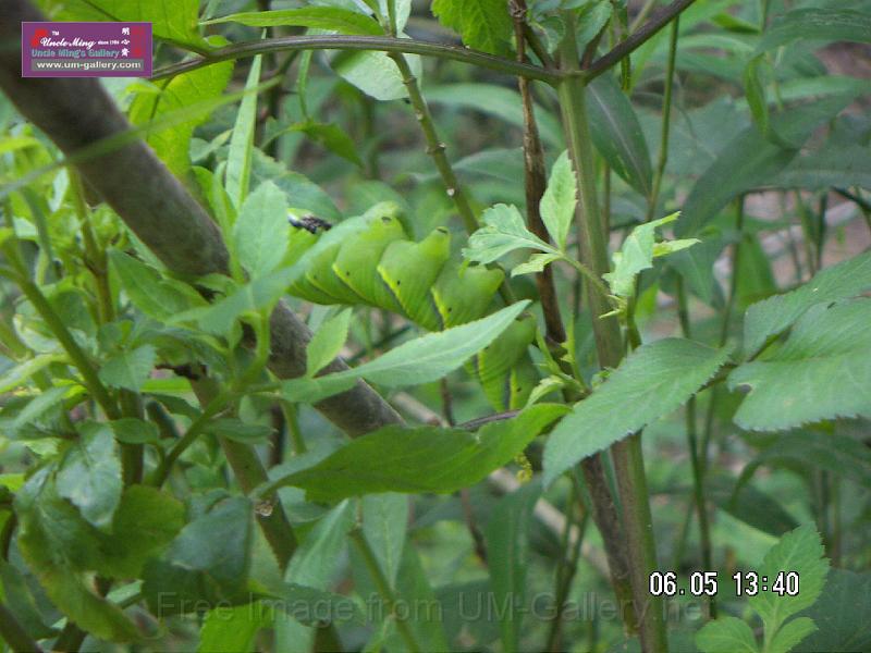 070506jw__PICT5191.JPG