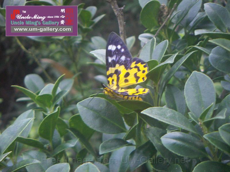 PICT2170.JPG