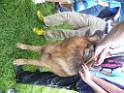 20130818jw_dog_training_P1140336