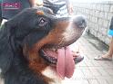 080601sm_DSCF3587