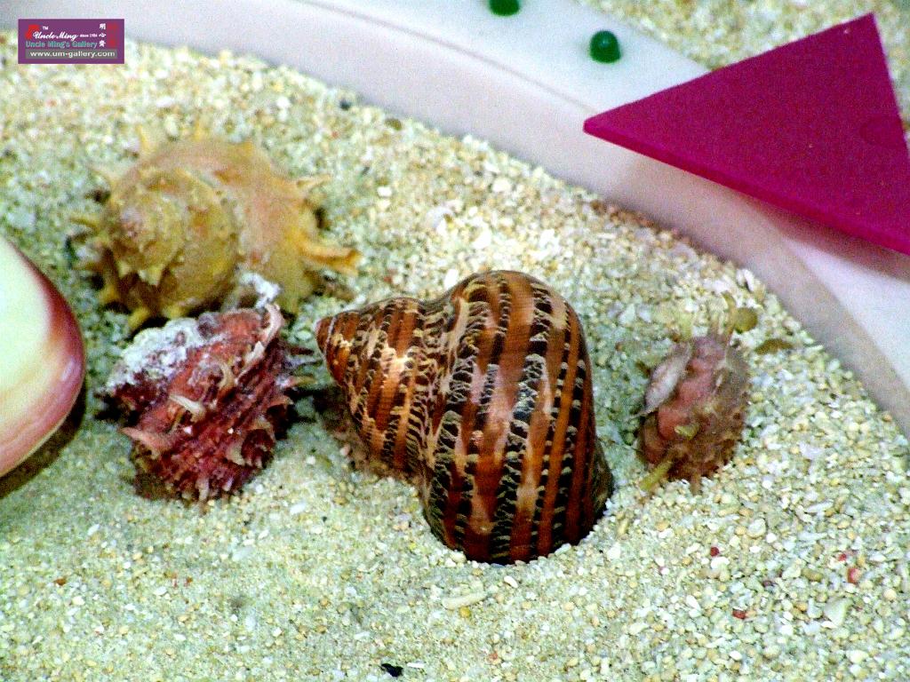 DSCF0379.JPG