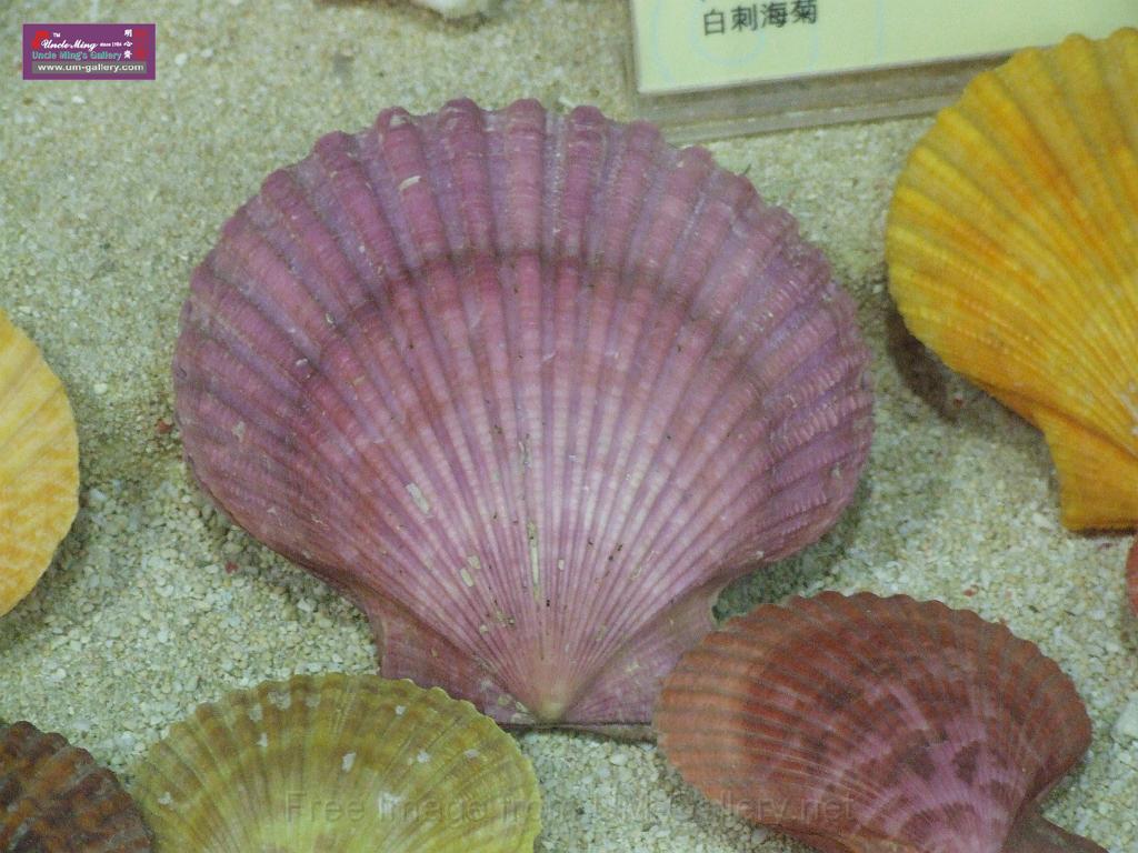 DSCF0382.JPG