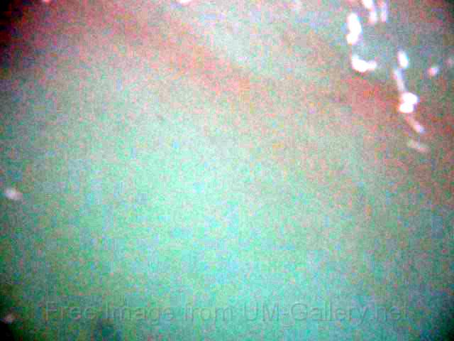 0803sm_P1090441.JPG