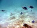 0803sm_P1090182
