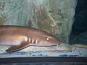 081215sm_o_park_P1010807