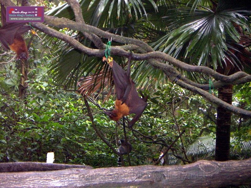 PICT2834.JPG