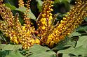080309a_DSC_0738