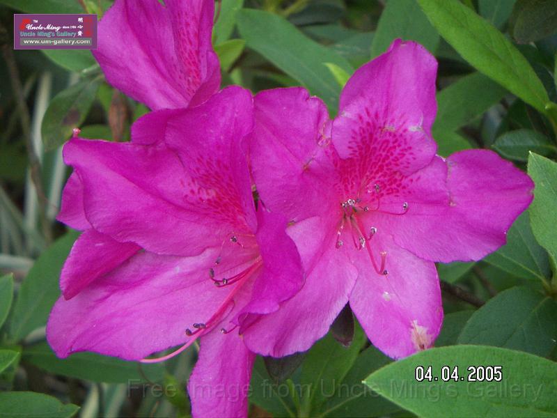 PICT0950.JPG