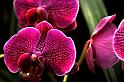 080309a_DSC_0942