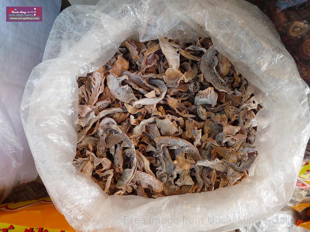 20121001sm_heyuan_P1100796.JPG