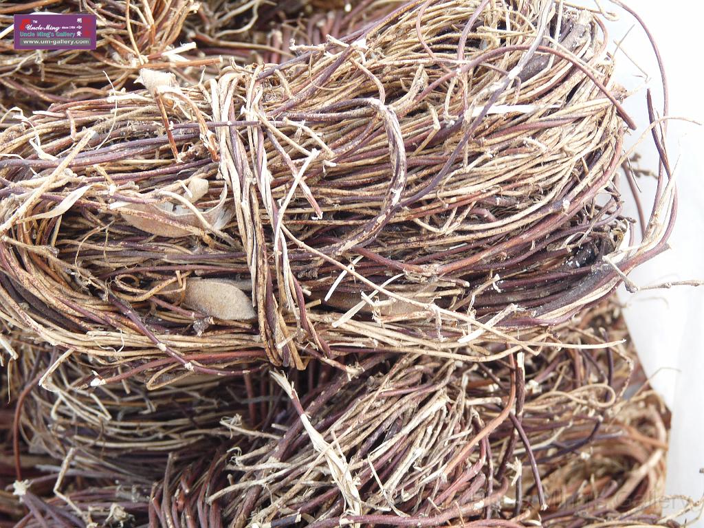20121001sm_heyuan_P1100922.JPG