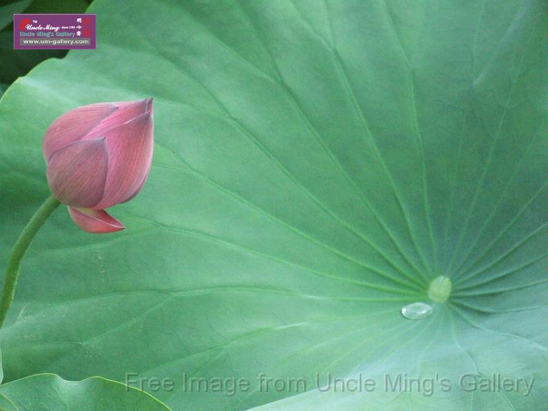 DSCF8547.JPG