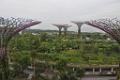 201309vol01-sf-singapore-DSC_0155