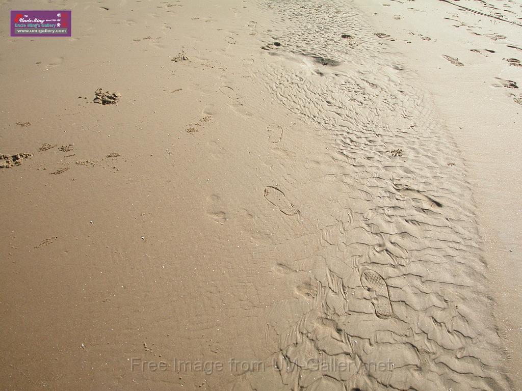 _SCN0795.JPG