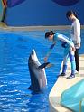 081215sm_o_park_P1010639