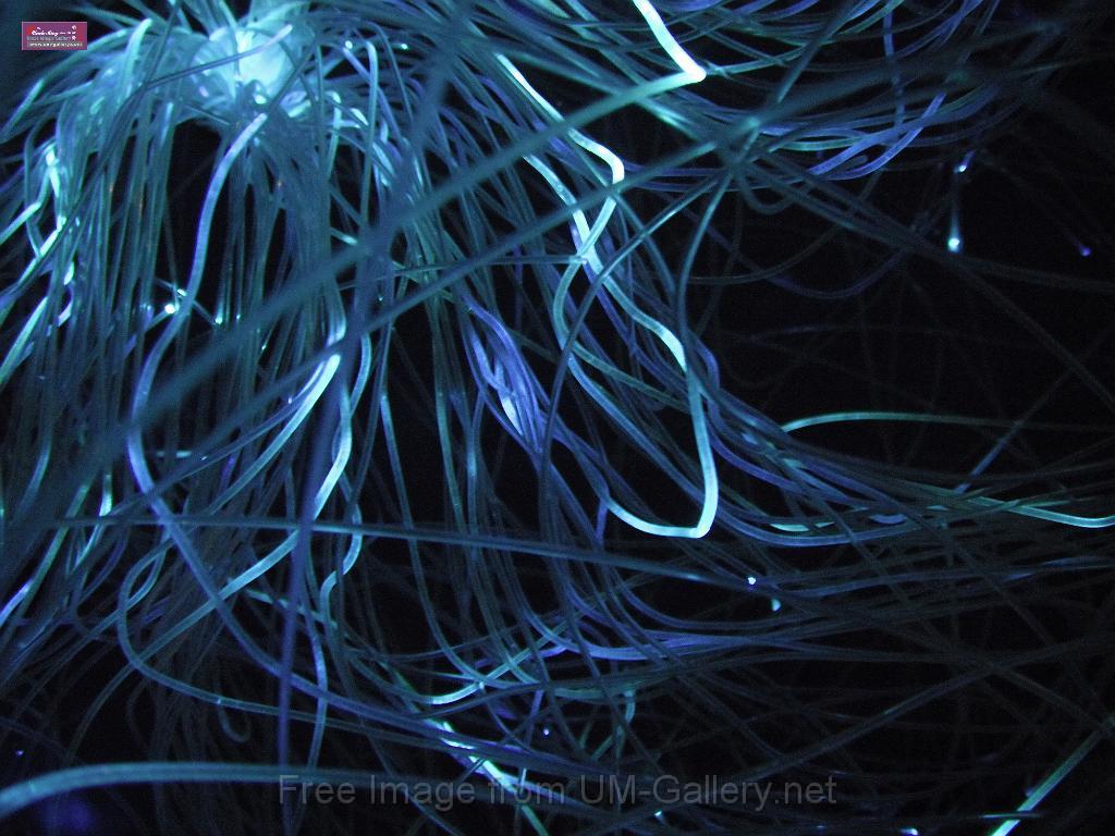 DSCF8176.JPG